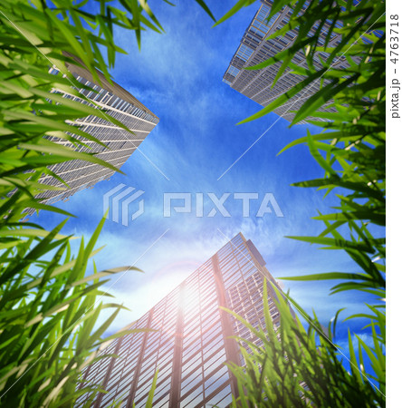 grass and skyscrapers 4763718