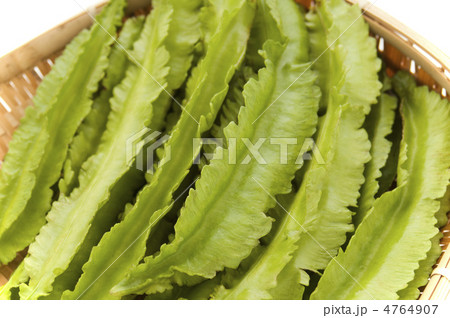 うりずん うりずん 4764907