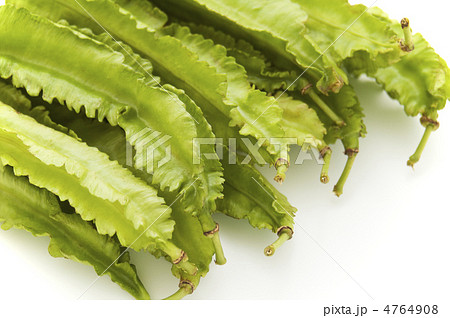 うりずん 4764908