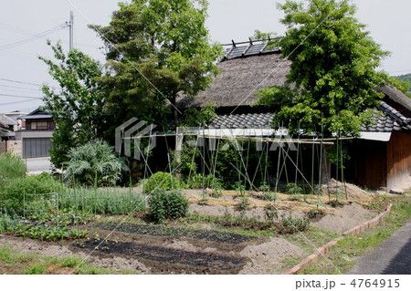 畑のある茅葺き屋根の家 畑のある茅葺き屋根の家 4764915