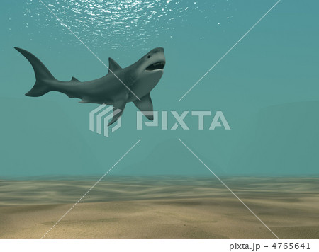 The 3d shark, floating at ocean 4765641