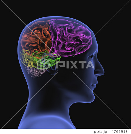 Transparent 3d head of the person - x-ray 4765913