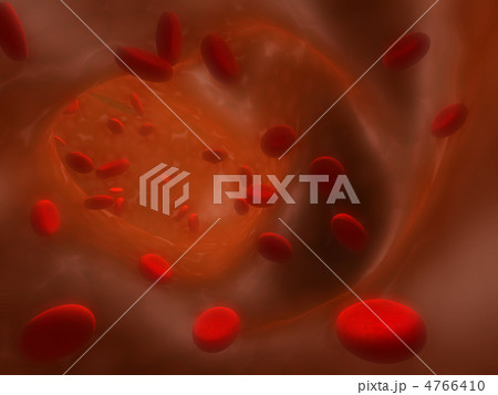 Many erythrocytes, floating on an artery 4766410