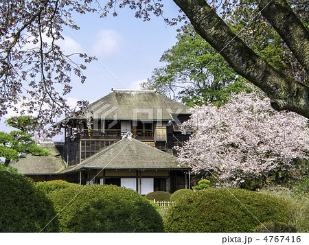 偕楽園の好文亭と左近桜の写真素材