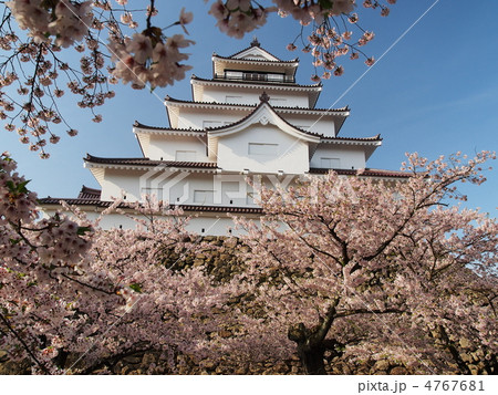 桜咲く鶴ヶ城 4767681