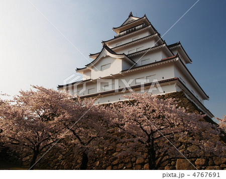 桜咲く鶴ヶ城 4767691