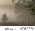 霧の朝 4767770
