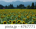 夏景 4767771