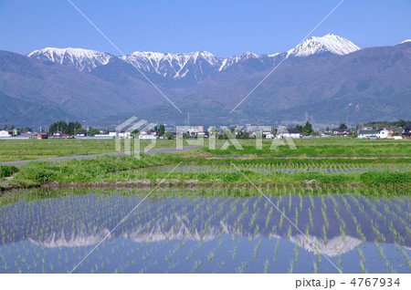 安曇野の春~水田に映る北アルプス~ 安曇野の春~水田に映る北アルプス~ 4767934