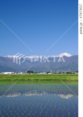 安曇野の春~水田に映る北アルプス~ 安曇野の春~水田に映る北アルプス~ 4767937