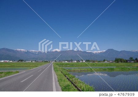 安曇野の春～水田と北アルプス～ 4767939