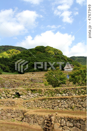 棚田 棚田 4767949