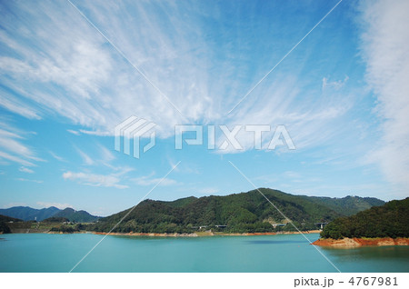 アブラハムの樹 アブラハムの樹 4767981