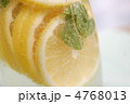 ミントレモンソーダ 4768013