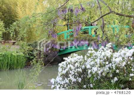 モネの庭 モネの庭 4768120