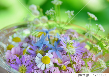 ハーバルフラワー 4768396
