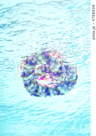 ハワイ　レイ　花　水中写真 4768939