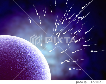 Spermatozoons, floating to ovule 4770646