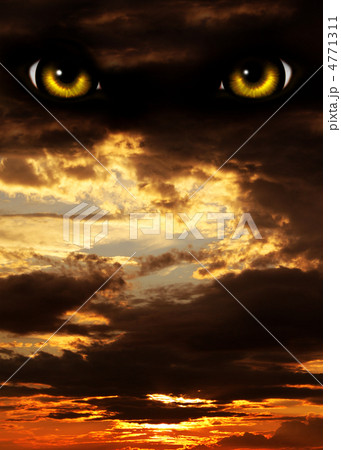 Horror in night 4771311