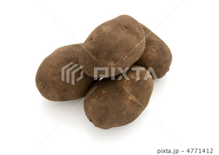 ホッカイコガネ 4771412