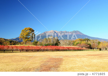 木曾の御岳山 開田高原 木曽馬の里 4771605