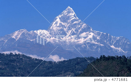 ヒマラヤ ヒマラヤ 4771681