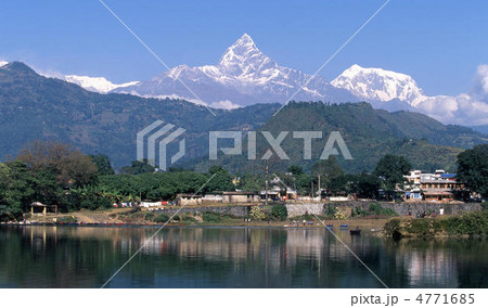 ヒマラヤ ヒマラヤ 4771685