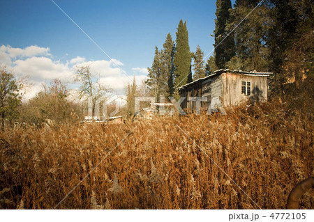 the hut 4772105