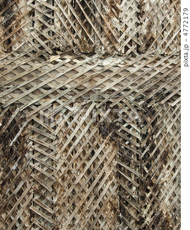 battens grid 4772179