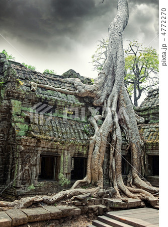 temple of Ta Prohm in Angkor Wat 4772270