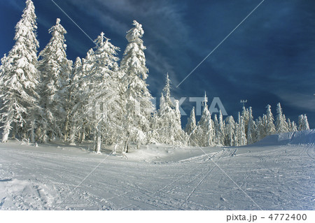 winter landscape winter landscape 4772400
