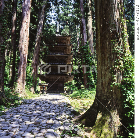 羽黒山参道の五重塔（国宝） 4773152