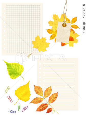 Notebook pages, labes and autumn leaves 4773710