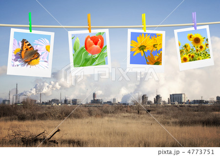Ecology concept 4773751