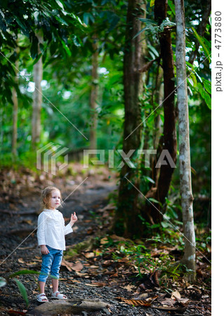 Little girl in a forest 4773880