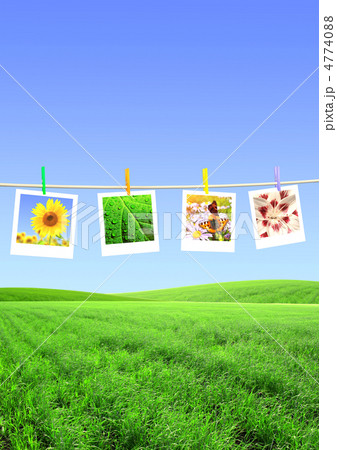 Moments of a life 4774088