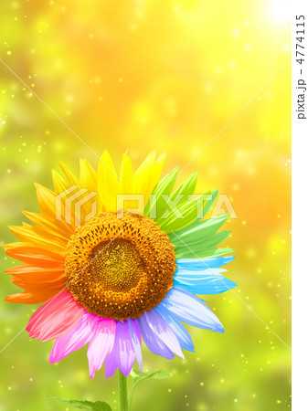 Colors 4774115