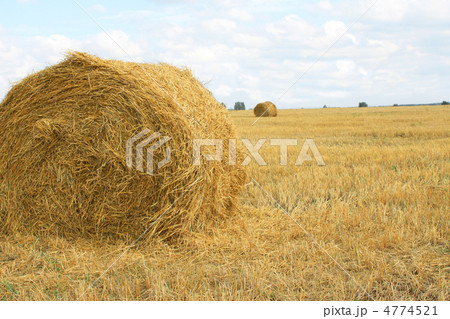 Haystacks 4774521