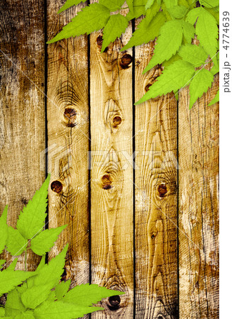 Message of nature 4774639