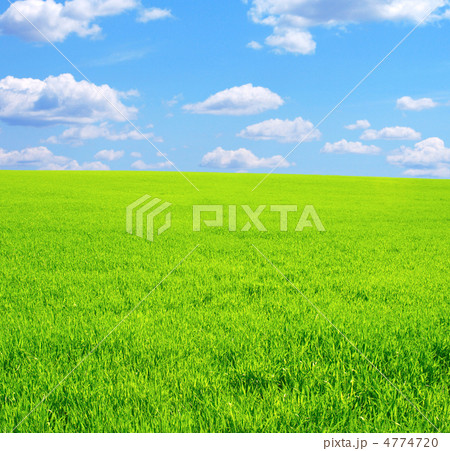 Beautiful landscape 4774720