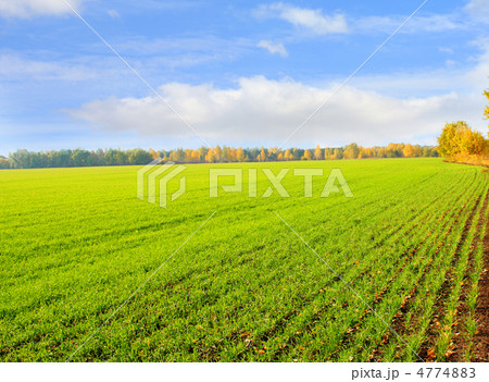 Autumn landscape 4774883