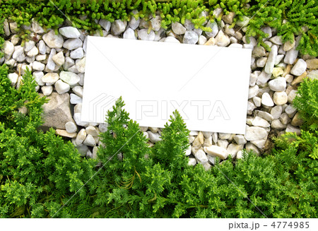 Nature background 4774985