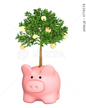 Growth of the capital 4776579