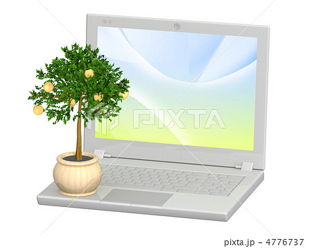Monetary tree and laptop Monetary tree and laptop 4776737