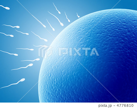 Spermatozoons, floating to ovule 4776810