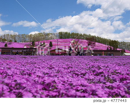 北海道大空町東藻琴芝桜公園 北海道大空町東藻琴芝桜公園 4777443