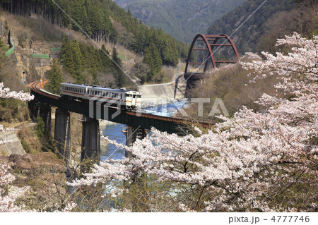 飛騨川鉄橋と桜 飛騨川鉄橋と桜 4777746