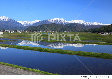 春の田園 4777771