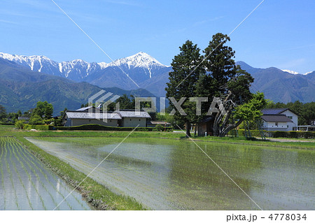 春の安曇野 4778034