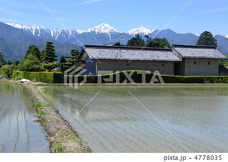 春の安曇野 4778035